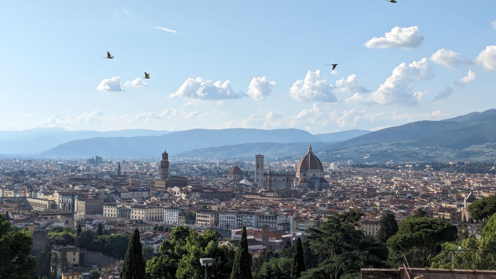 Skyline of the city from Basilica di San Miniato.